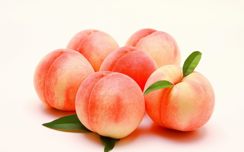 旺财28·(中国平台)官方网站