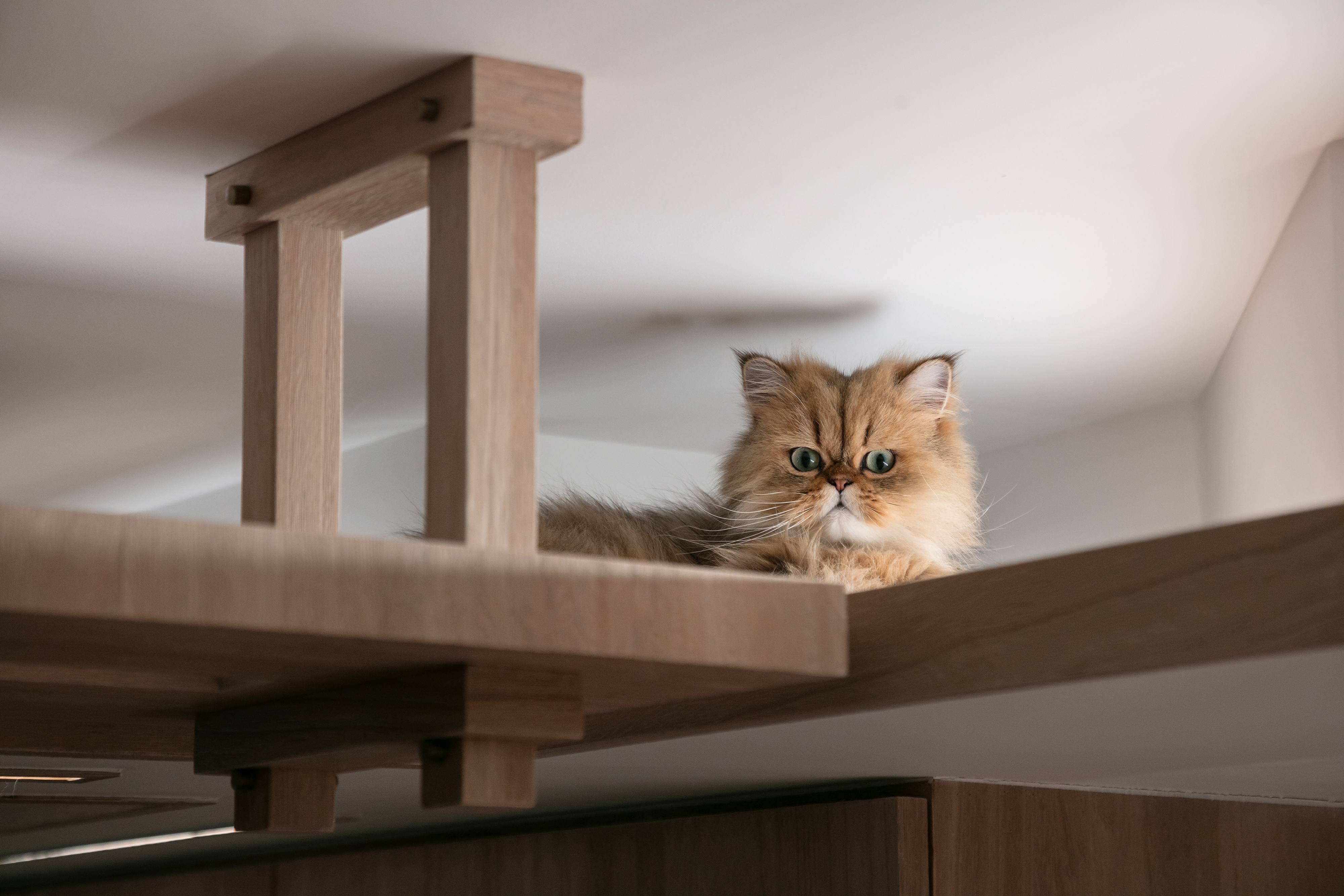 旺财28·(中国平台)官方网站